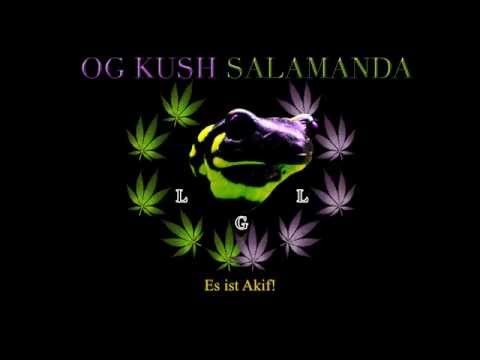 Lazy Lizzard Gang - Oh Akif! (prod. by Asad John)