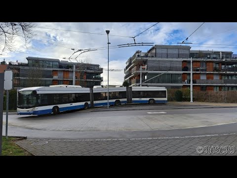 Buslinie 31 von Kienastenwies nach Hermetschloo