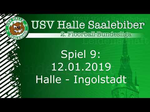 Highlights USV Halle Saalebiber - Donau-Floorball Ingolstadt/Nordheim (12.01.2019)
