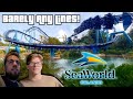 Most Chill Theme Park In Florida SeaWorld Orlando VLOG 1 4 23