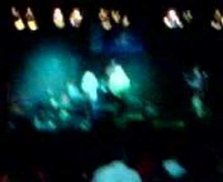 Fishing on Orfű 2008. Vad fruttik - Sárga zsiguli