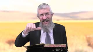 מסכת חולין דף כב - 8 דקות של לומדות ועמקות בדרך הלימוד הישיבתית [Hullin 22]