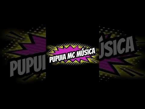 MC PUPUIA DJ Gustavo DJ João DJ Zé Curitiba PR Curiúva Paraná brazil São Paulo 