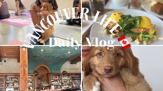 Vlog バンクーバー/ puppy yoga/ brunch