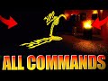 All Grace Commands How To Get Them Read Description