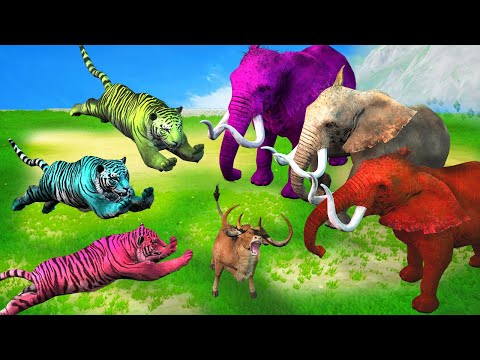 Giant Zombie Tigers Vs Bulls Saved by Elephants Fight Zombie Tigers Eating Baby Bulls Animal Fights