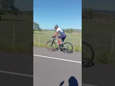 giro do gordinho maribondo al