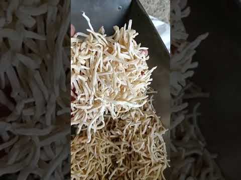 Herbal india ashwagandha powder, packaging size: 25 kg