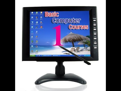 Basic computing skills