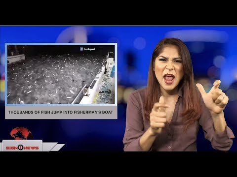 Thousands of fish jump into fisherman’s boat (ASL - 7.23.18)