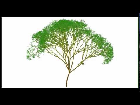 Procedural Tree Generation