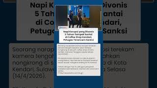 Viral Video Napi Jalan-jalan di Coffee Shop Kendari, Petugas Pengawalan Terancam Sanksi