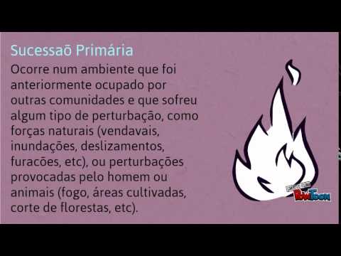 Sucessão Ecológica á moda da Jucy