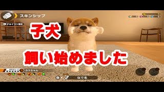 子犬を飼い始めました