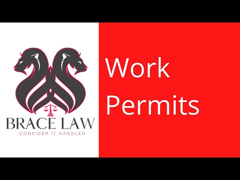 Canadian Work Permits | What Are Your Options? | Brace Law