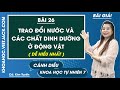 Khoa học tự nhiên 7 Cánh diều Bài 26: Trao đổi nước, các chất dinh dưỡng ở động vật - Trang 122, 127