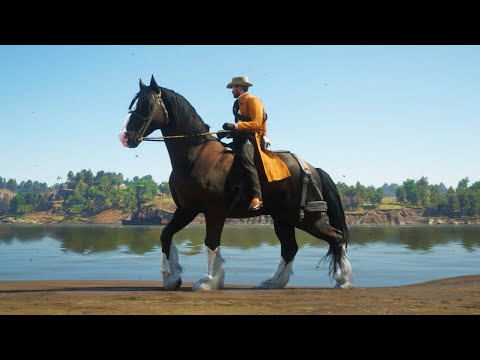 , title : 'CABALLO INMORTAL | RED DEAD REDEMPTION 2'