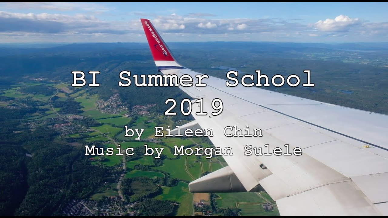 BI Summer School 2019