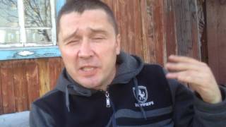 Питание щенка немецкой овчарки сухим кормом