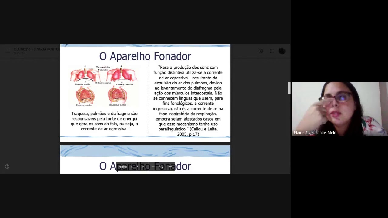 Fonética articulatória sistema fonatório