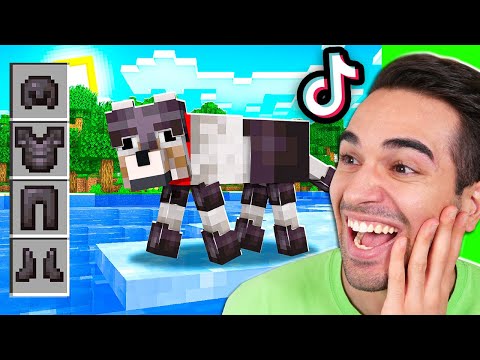 PROVO I NUOVI TIKTOK IMPOSSIBILI DI MINECRAFT