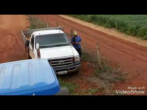 Turma do veneno galera jacto