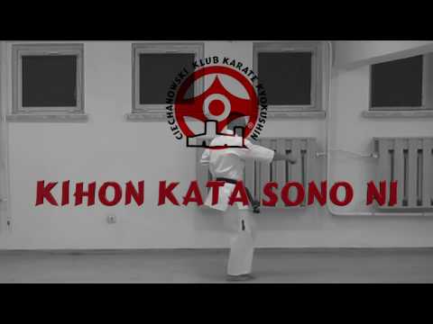 Kihon Kata Sono Ni