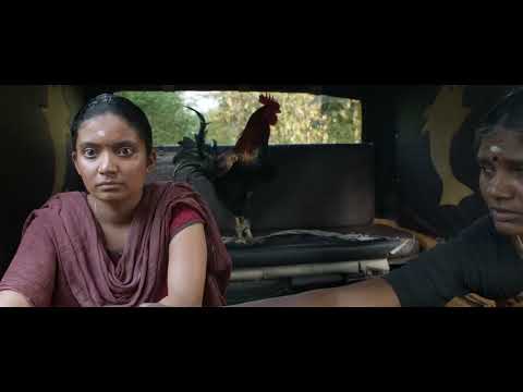 afbeelding Kottukkaali