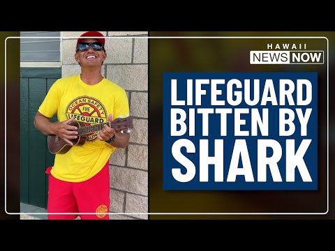 Off-duty Kauai lifeguard was surfing when shark bit his left leg, family says