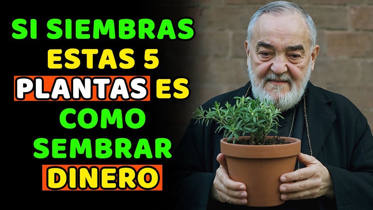Padre Pío: Planta Estas 5 PLANTAS en tu Casa AHORA para atraer mucho Dinero