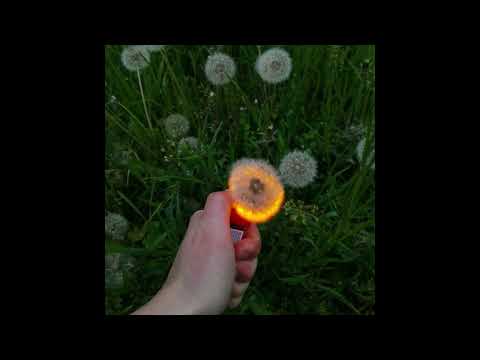 [FREE] Acoustic Guitar, skele, guardin, sewerperson Type Beat "remembrandt" prod. yunny goldz