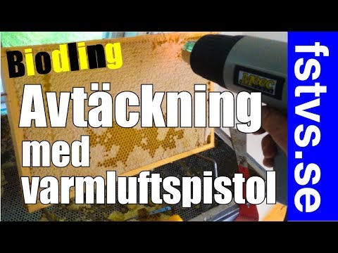 Avtäckning