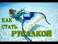 Как стать русалкой. Самый легкий способ русалки 