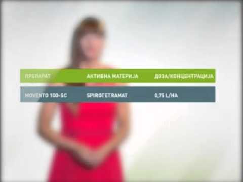 Zelena prognoza, 24.7.2015. - O prisutnim štetočinama u proizvodnji kupusa