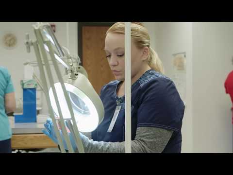 Medical Laboratory Technician