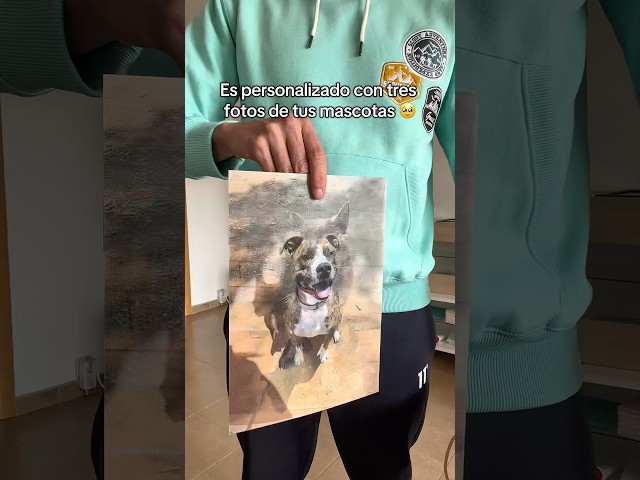Vídeo relacionado con 3D LiveLife Lenticular Cuadros Decoración - Abraza árboles de Deluxebase. Poster 3D sin marco de leopardo. Obra de arte original con licencia del reconocido artista, Collin Bogle