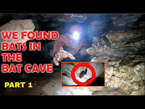 HAYES CAVE IN NOVA SCOTIA PART 1