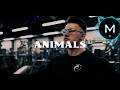 Animals Gym Workout Songs Gaming Motivational