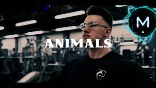 Animals gym workout songs Gaming  Motivational