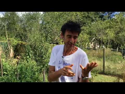 Arrosage 3: Quand arroser ?