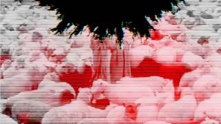 Bain De Sang - Missing Pharaohs (CLIP)