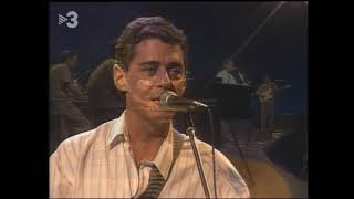 Ludo Real Lyrics English Translation