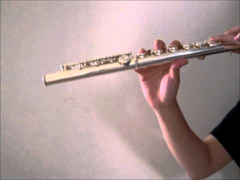 Ima demo anata ga [今でもあなたが] - Fujita Maiko (flute cover)