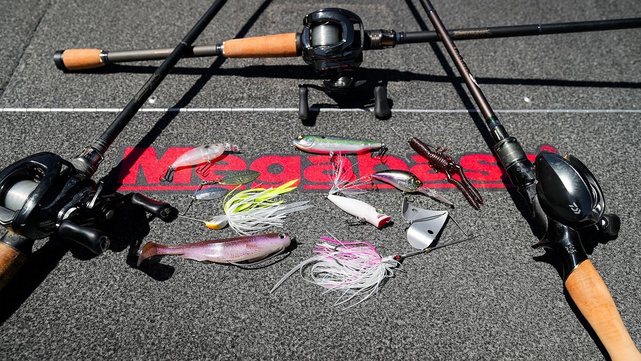 Expert breakdown of top-ranking Japanese saltwater lures for seabass