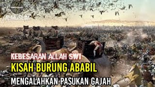Download lagu Kisah Burung Ababil Membawa Batu Neraka Menyerang Pasukan Gajah Yang Ingin Menghancurkan Ka´bah... mp3 Download lagu Kisah Burung Ababil Membawa Batu Neraka Menyerang Pasukan Gajah Yang Ingin Menghancurkan Ka´bah... mp3