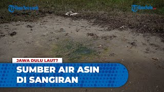 Tak Hanya Ditemukan Fosil Binatang Laut Purba, Ternyata di Sangiran Terdapat Sumber Air Asin