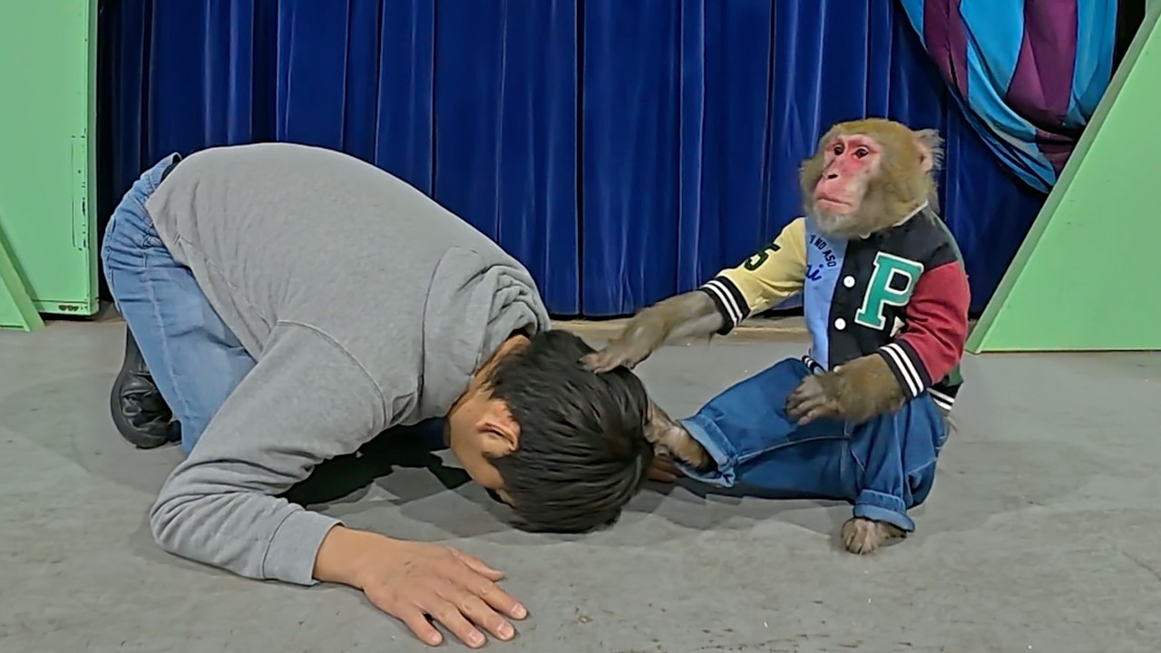 カイくんごめん