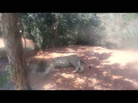 POOJITHA MOBILES  ,ZOO PARK  TIRUPATI (4)