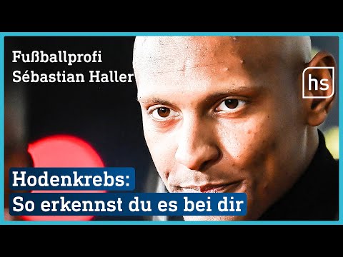 Hodenkrebs: Abtasten, Symptome, Untersuchung, Chemo | hessenschau