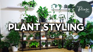 Creating a Plant Wall! (Plant styling)